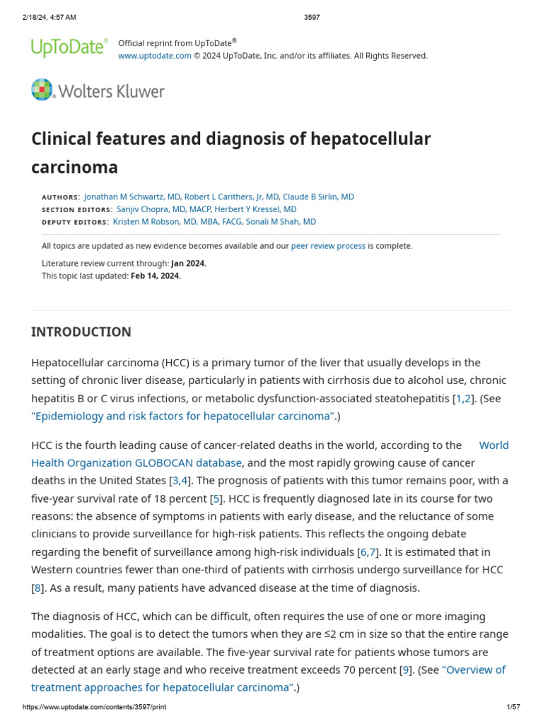 Hepatocellular Carcinoma Diagnosis Guide | PDF | Medical Imaging ...