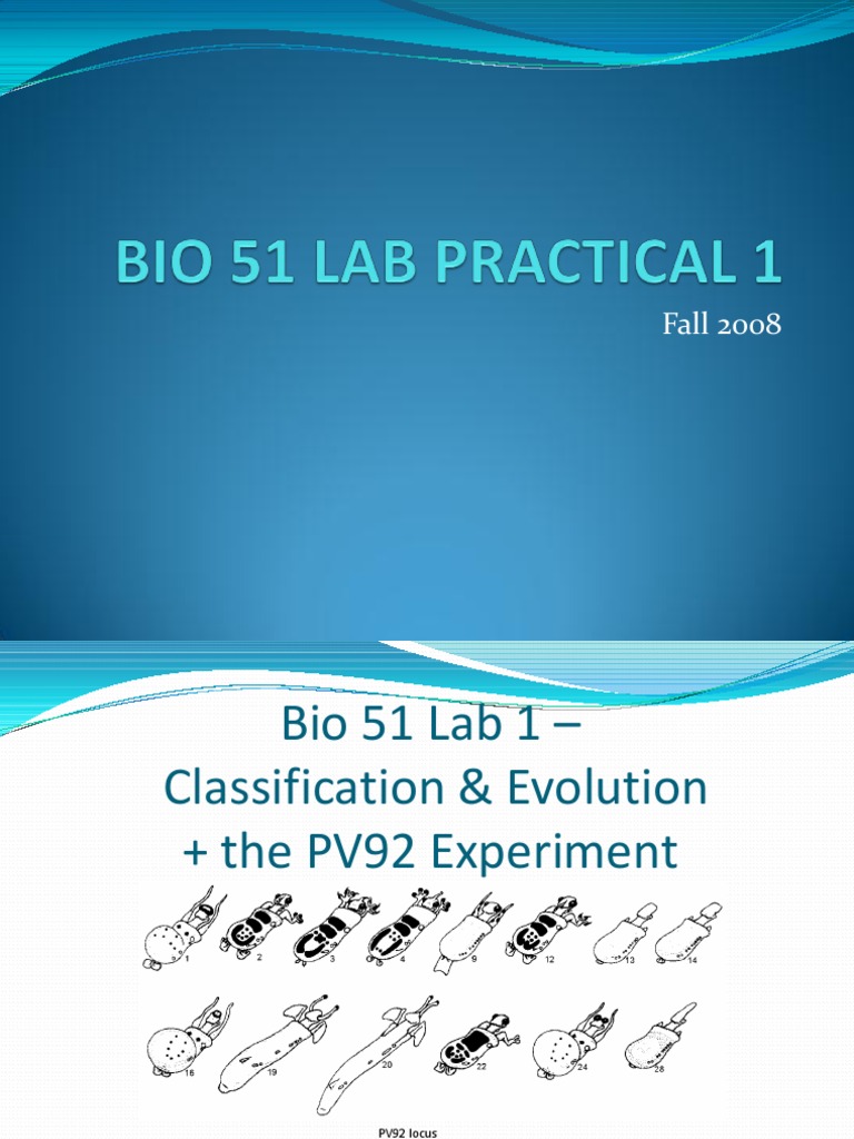 Bio 51 Lab Exam I | PDF | Meiosis | Mitosis