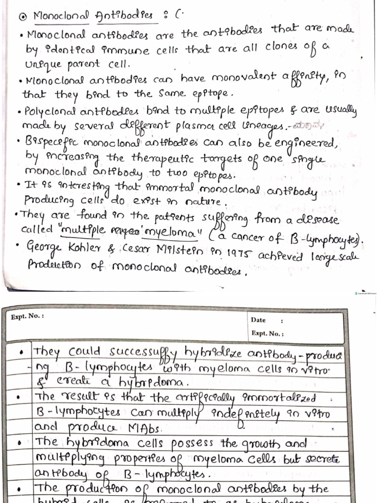 Monoclonal Antibody Production | PDF