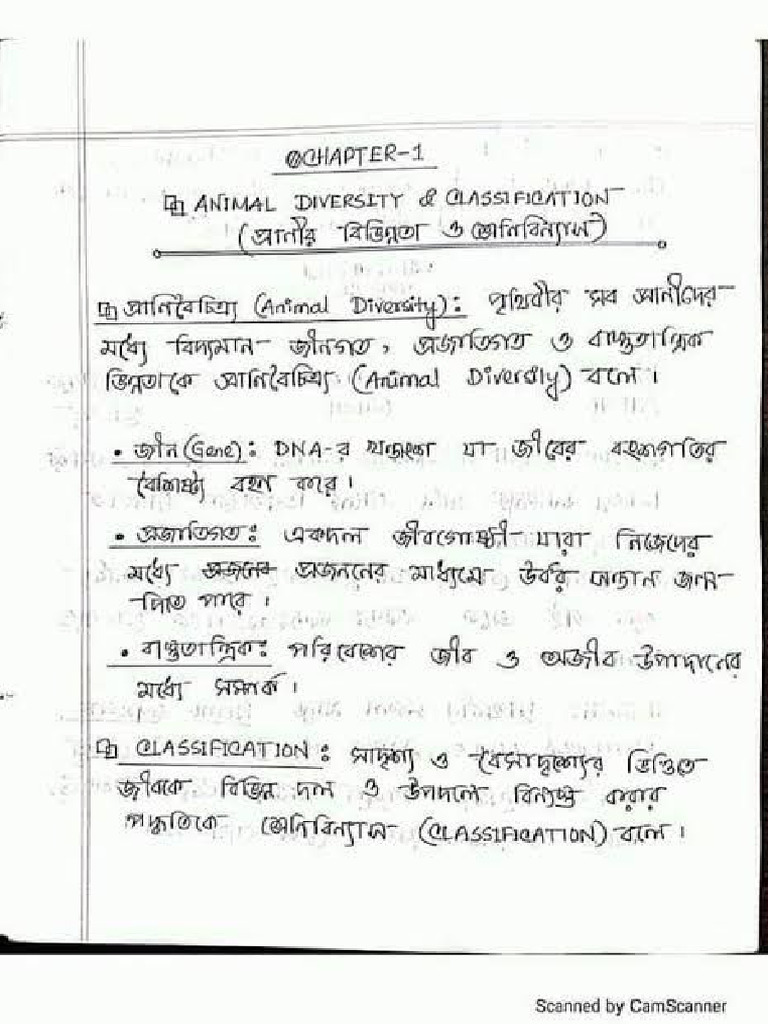 5 Class Note | PDF