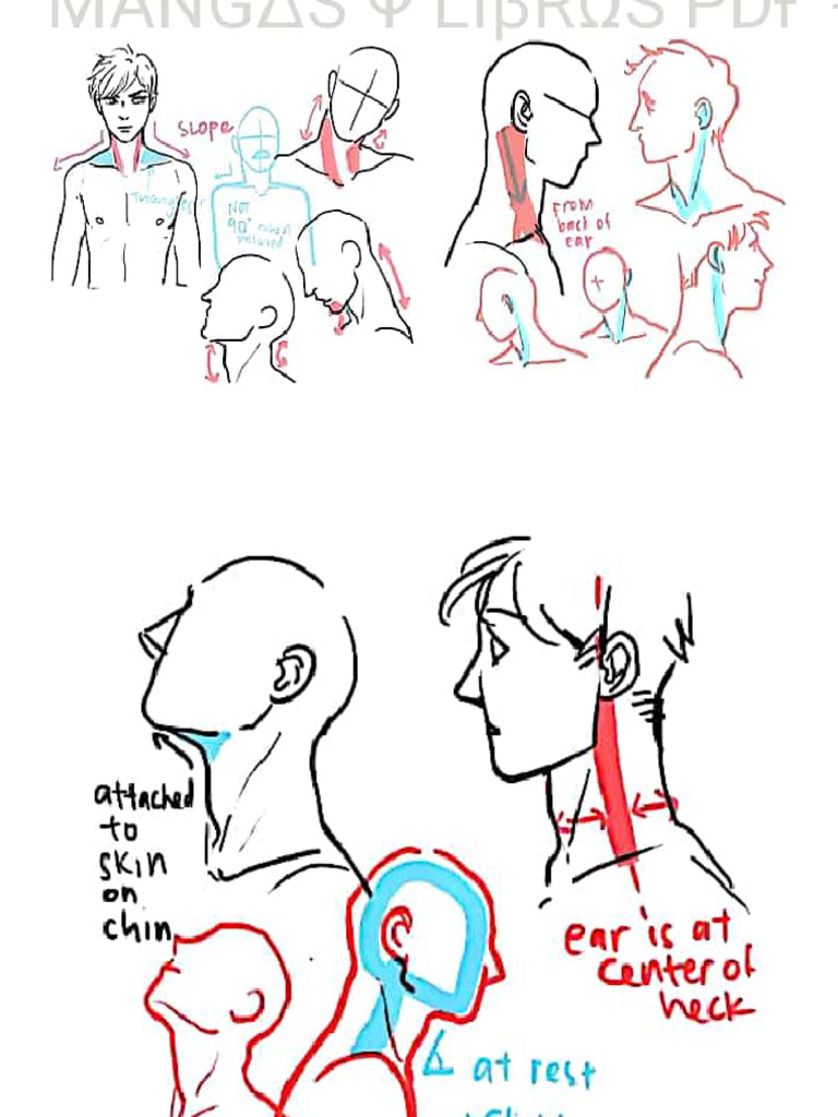 Drawing Nek | PDF