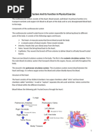 BTEC Sport Cardiovascular System Guide | PDF | Heart | Artery