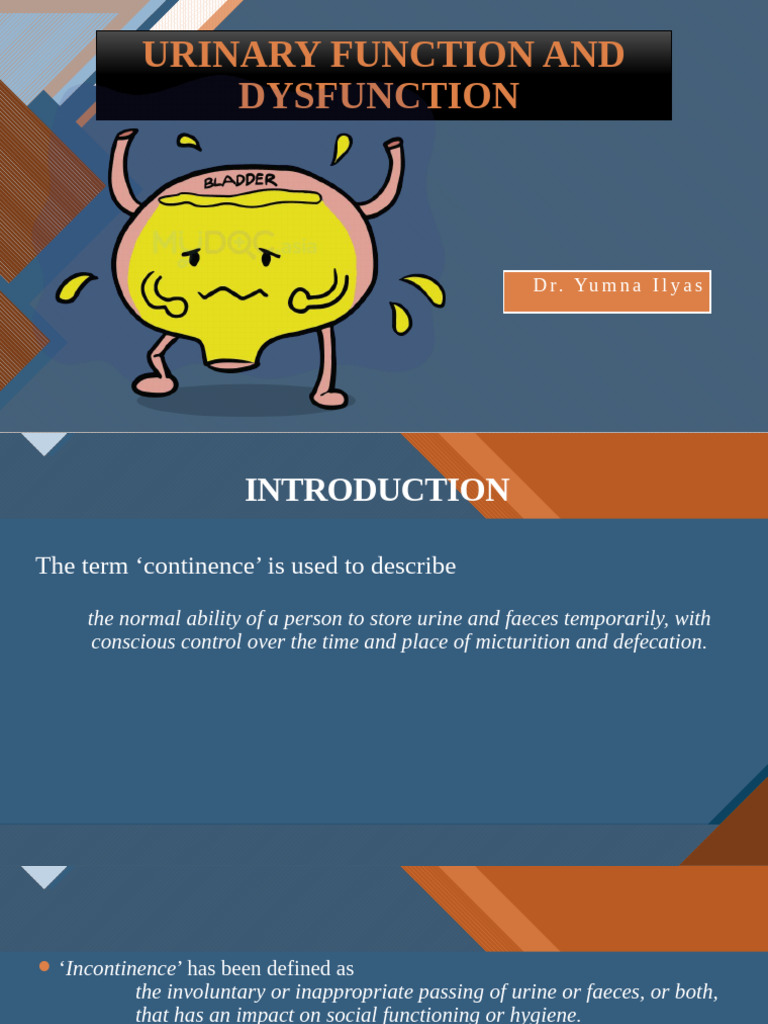 Understanding Urinary Function & Incontinence | PDF | Urinary ...