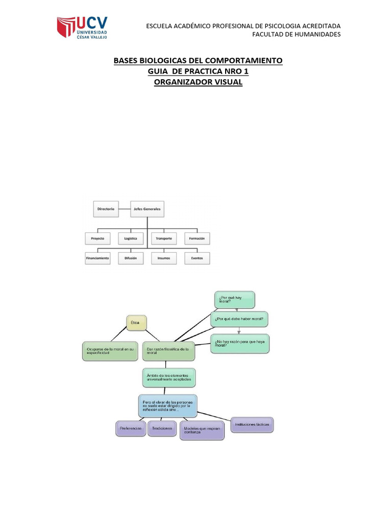 Organizador Visual de Seres Vivos | PDF