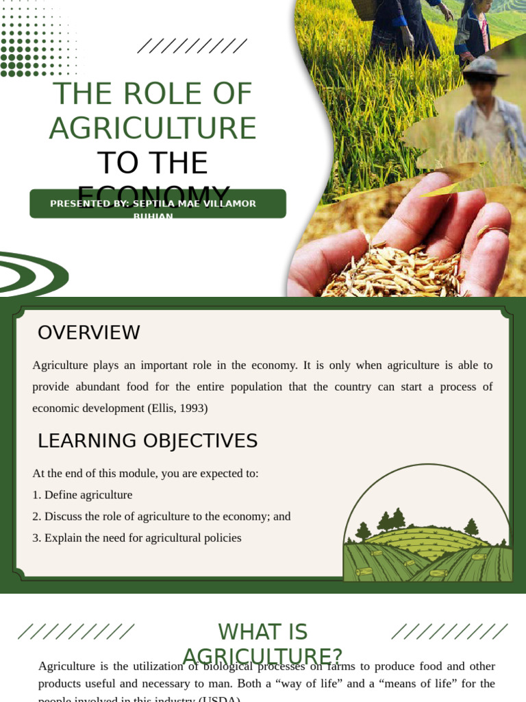 Importance of Agriculture in Economy | PDF | Agriculture | Agricultural ...