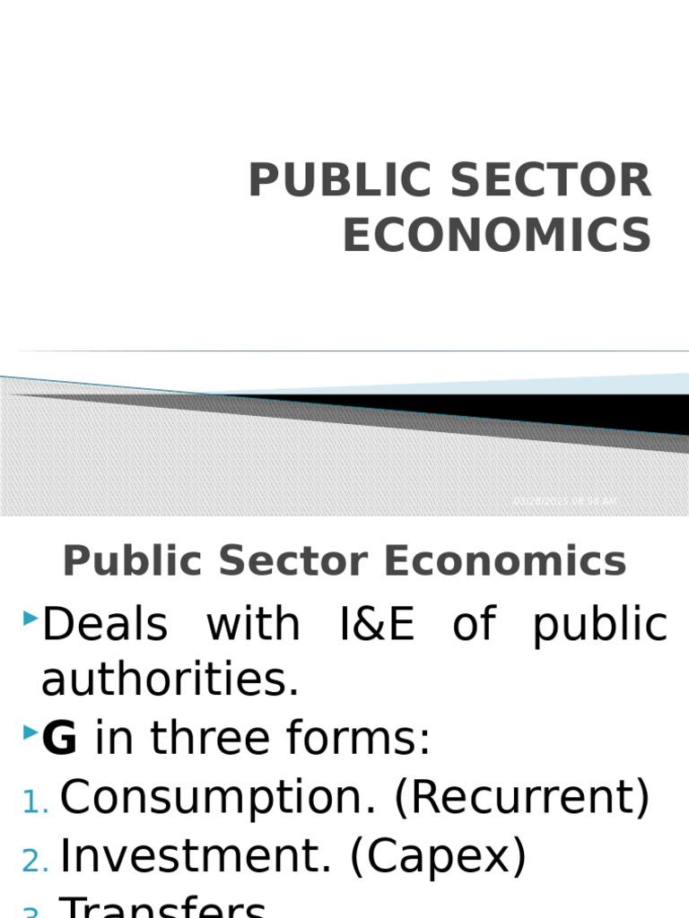 Public Sector Economics Pdf Taxes Economics