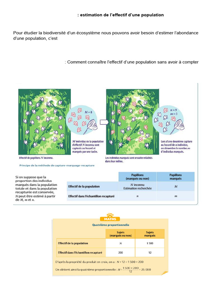 Estimation de l'effectif d'une population | PDF