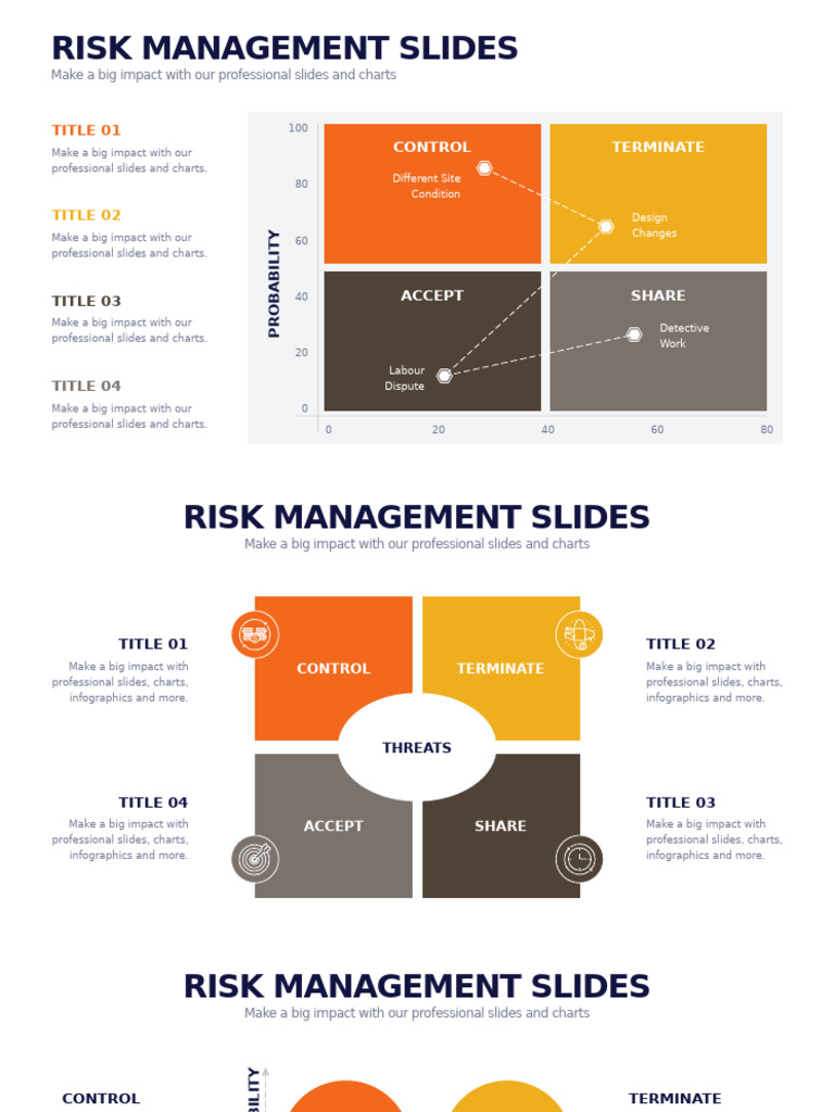 Professional Risk Management Slides | PDF | Financial Risk | Risk