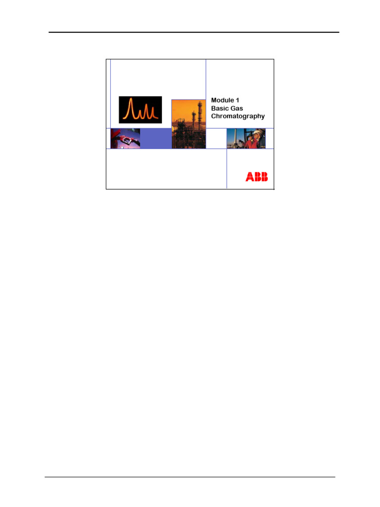 Basic Gas Chromatography Overview | PDF | Gas Chromatography ...