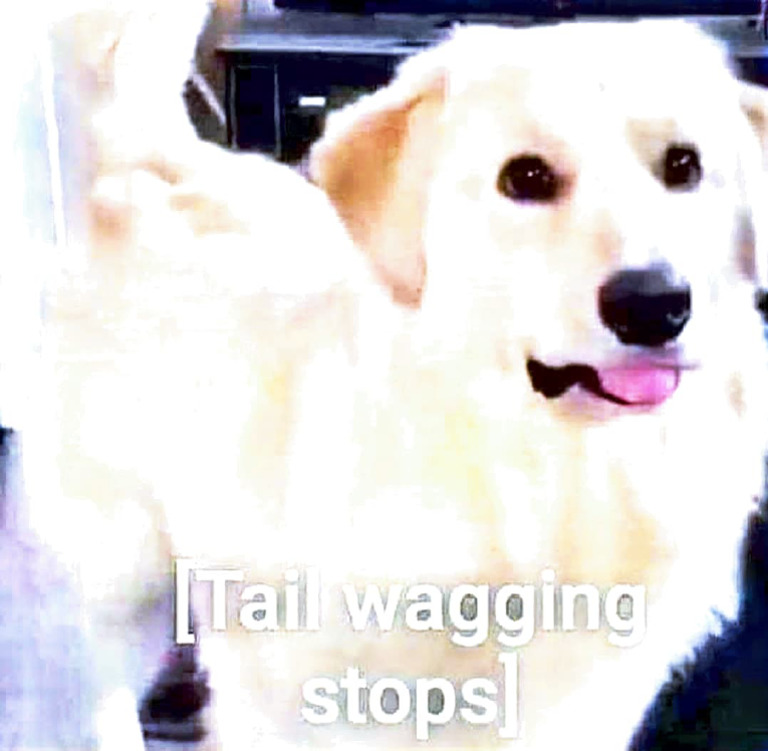 Understanding Tail Wadging Stops | PDF