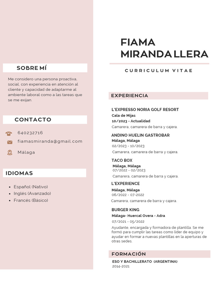 Currículum Vitae CV Diseñadora y Arquitecta Minimalista Rosa | PDF