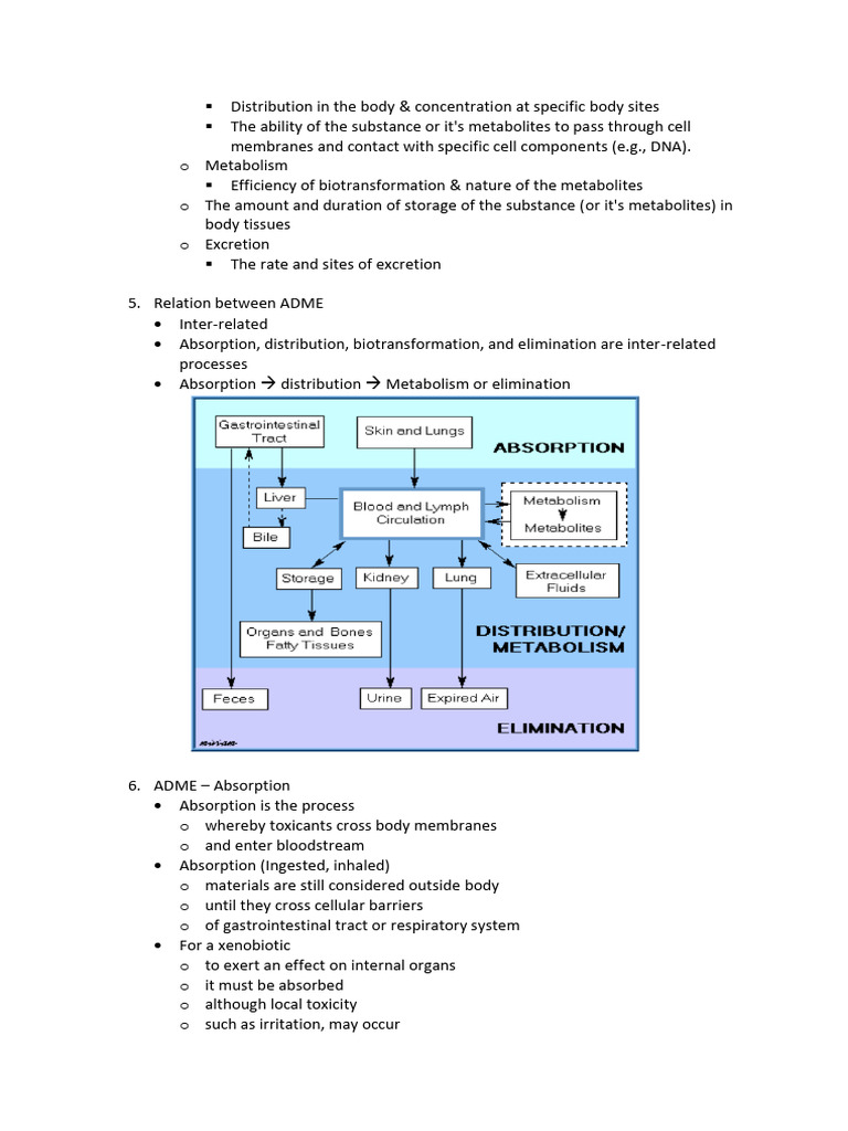 Understanding ADME: Absorption & Distribution | PDF