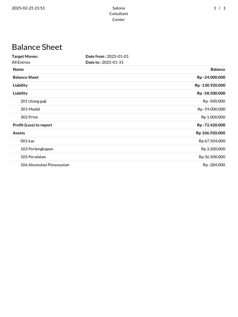 January 2025 Balance Sheet Summary | PDF