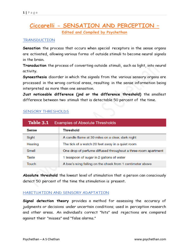 Sensation and Perception Overview | PDF | Senses | Hearing