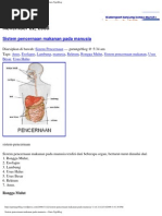Download Sistem pencernaan makanan pada manusia  Guru NgeBlog by fajarkarya8268 SN84409814 doc pdf