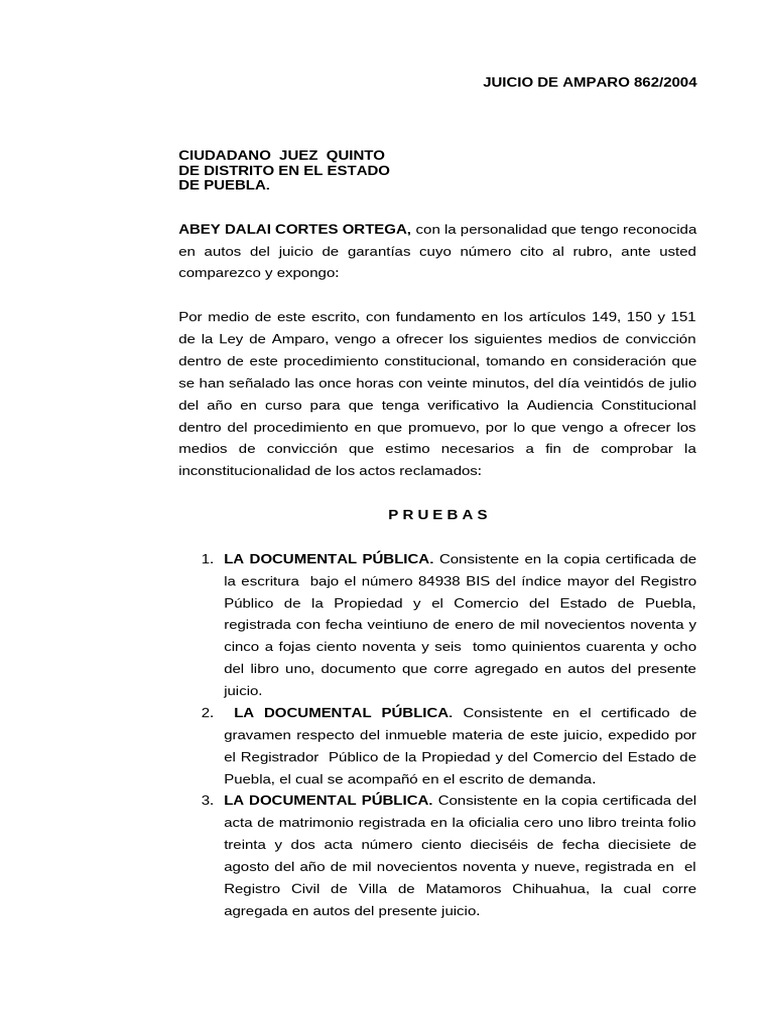 Medios de Convicción en Amparo 862/2004 | PDF | Gobierno | Justicia