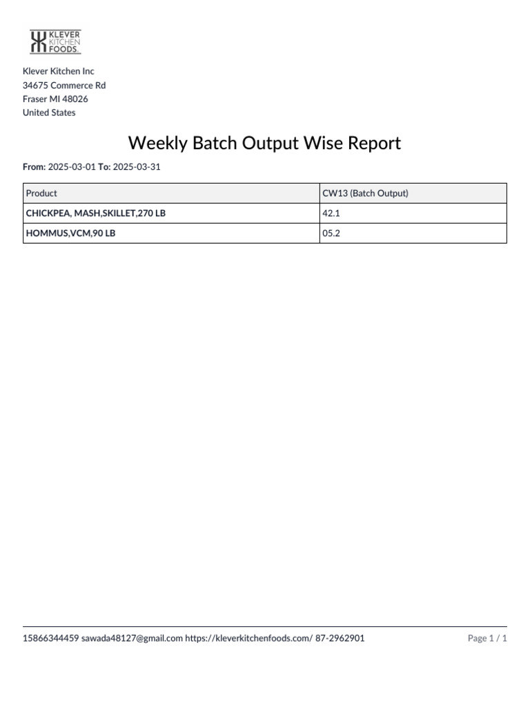 March 2025 Batch Output Report | PDF