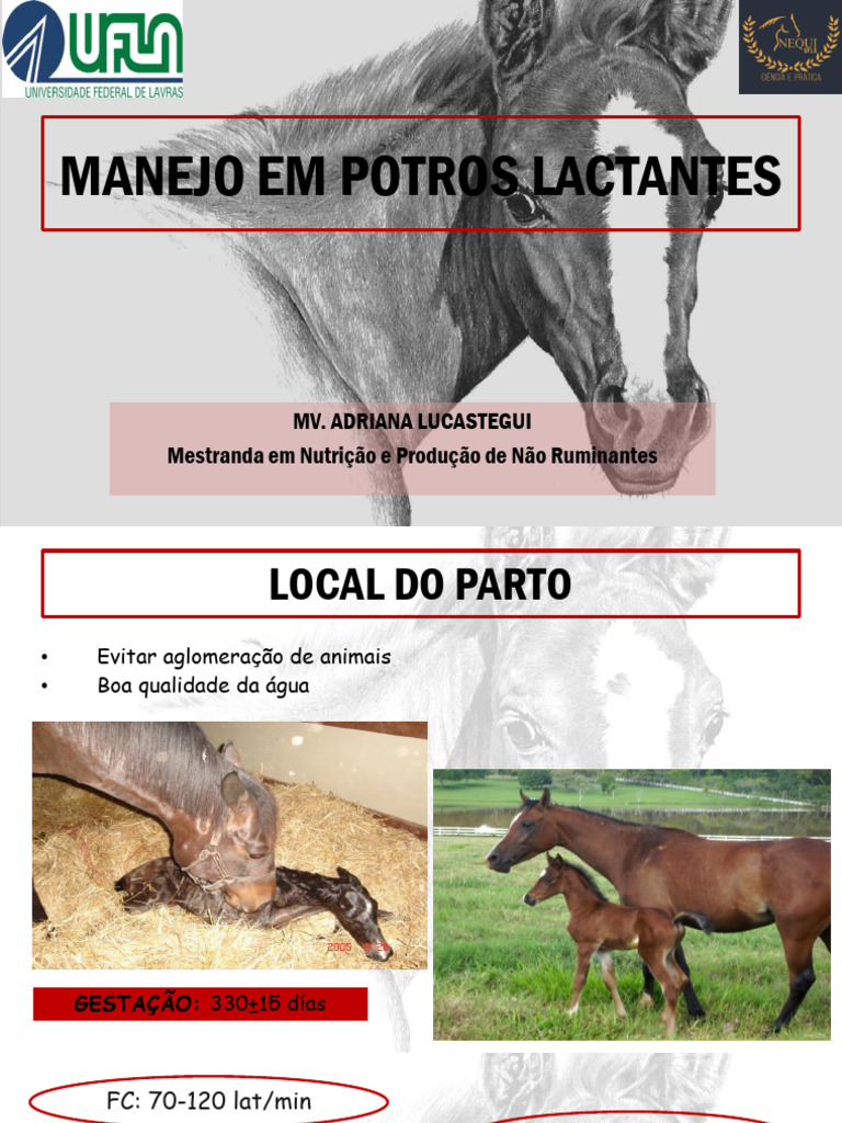 Manejo Em Potros Lactantes y Sanitario Para Campus | PDF | Neonatologia ...
