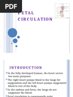 Fetal Circulation Flow Chart | PDF