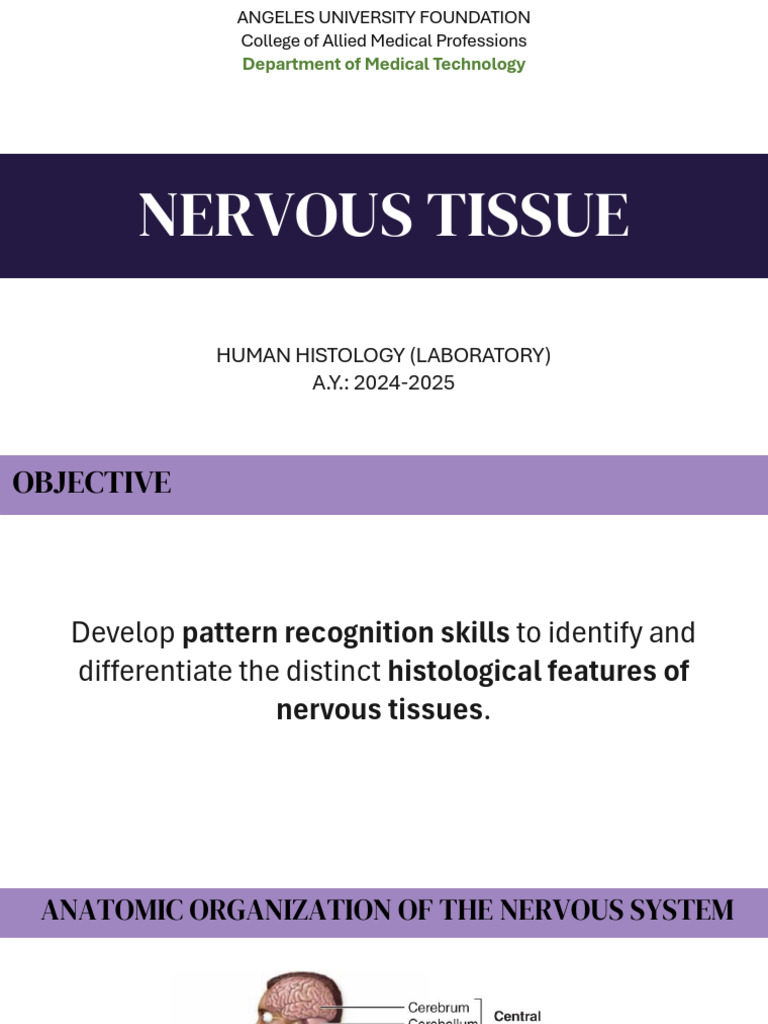 Nervous Tissue Histology Overview | PDF | Nervous System | Cerebellum