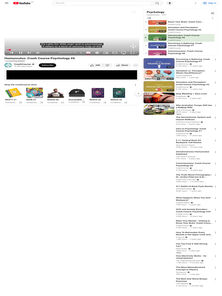 Understanding the Homunculus Model | PDF | Perception | Psychology