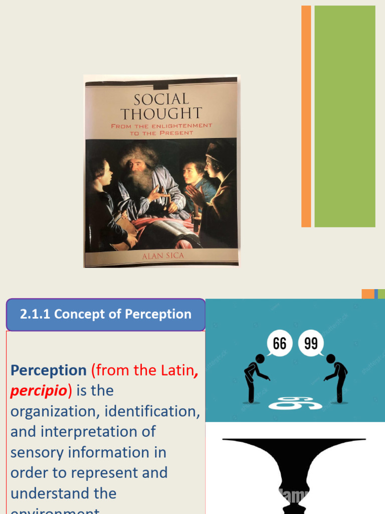 Understanding Perception and Social Thought | PDF | Perception | Illusion