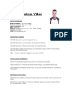 Curriculum Vitae