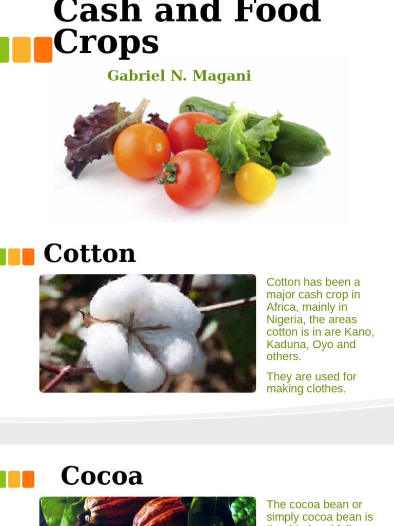 Cash and Food Crops Overview | PDF | Cereals | Peanuts