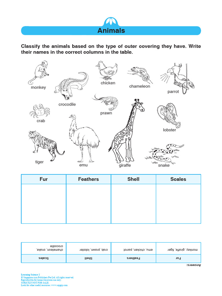 Animal Classification Activity Guide | PDF