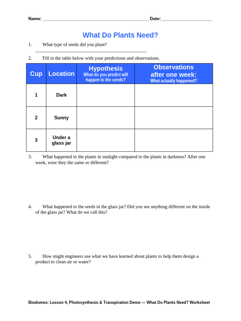 Cub Bio Lesson04 Activity1 What Plants Need Worksheet | PDF