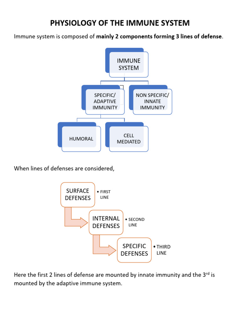 Physiology of Immune System | PDF | Immune System | Antigen