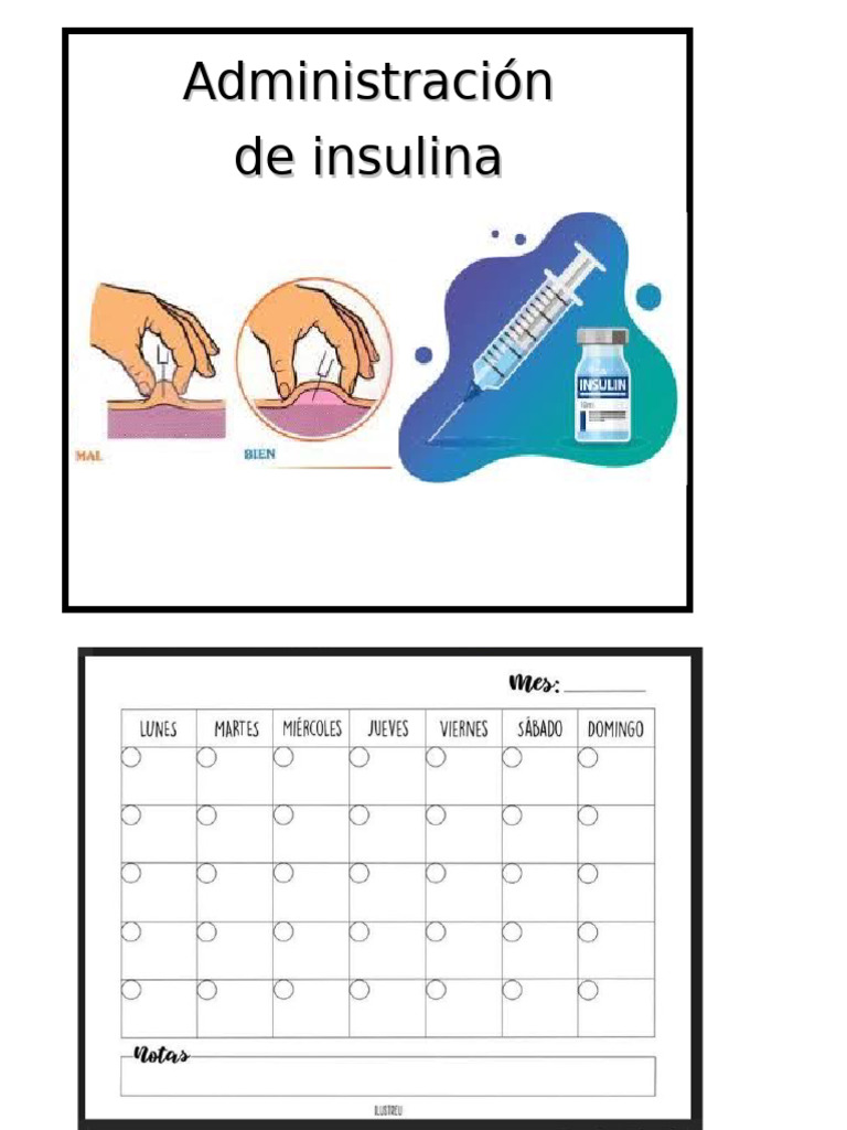 Esquemas de Insulinización Efectiva | PDF