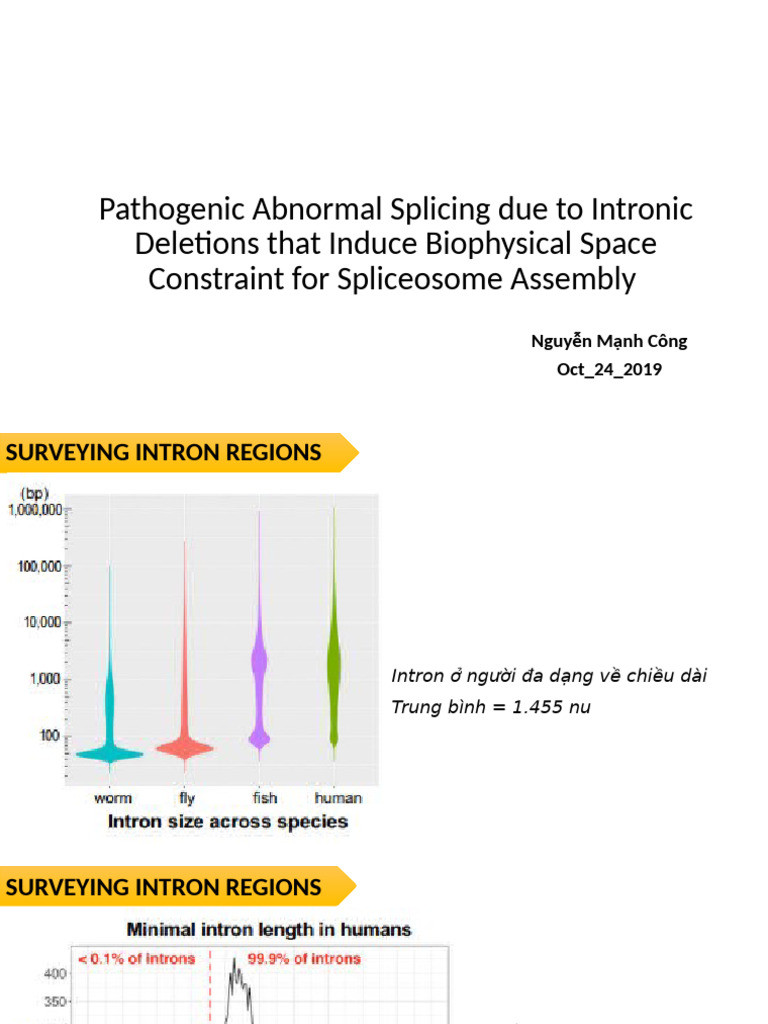 Splicing - Intronic Mutation - Công - 24.10.2019 | PDF