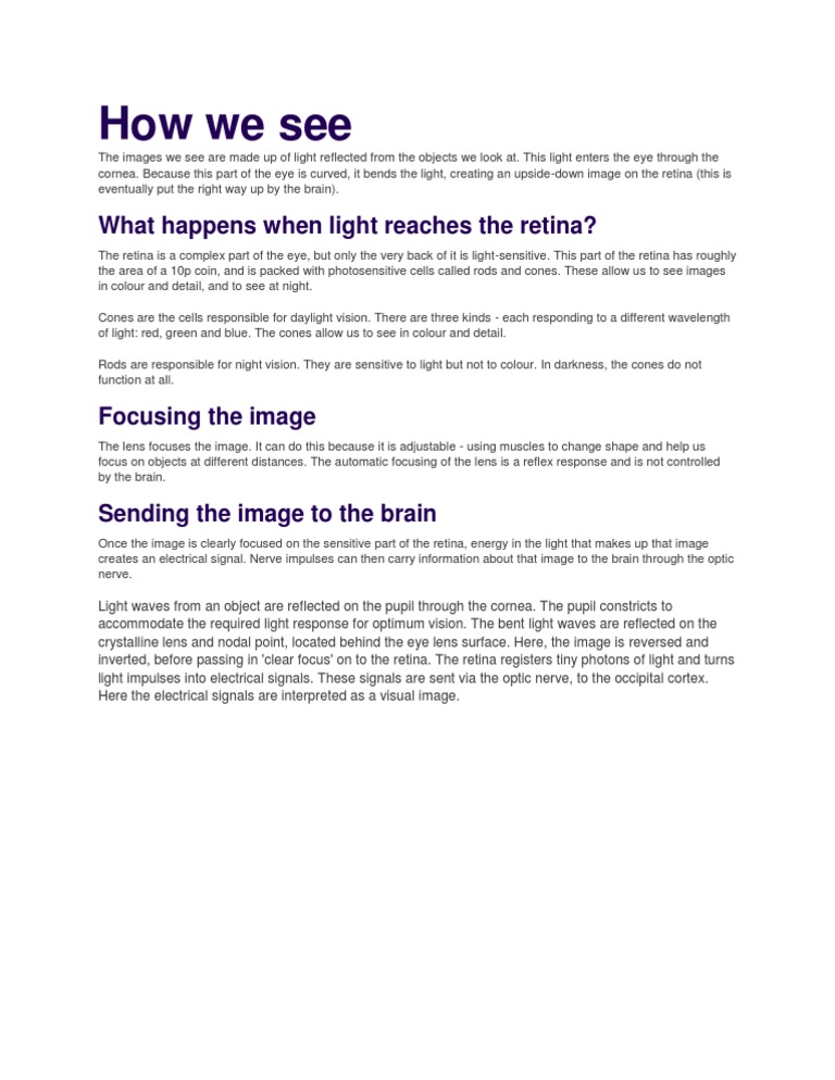 How We See: What Happens When Light Reaches The Retina? | PDF