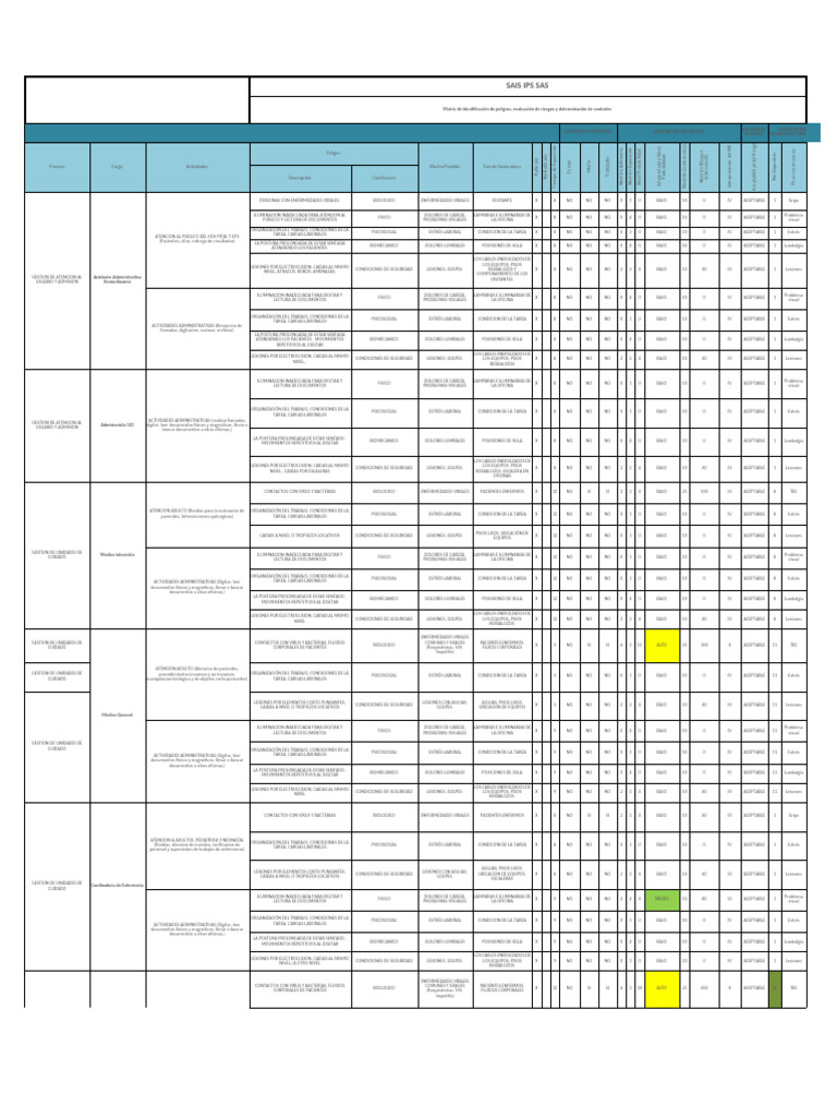 Evaluación de Riesgos Laborales en Salud | PDF | Dolor lumbar | Estrés ...