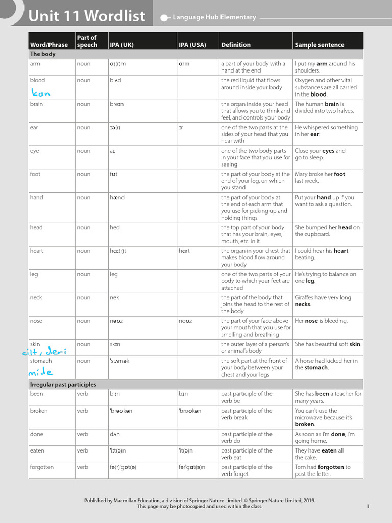 LH Elementary Wordlist U11 | PDF | Verb | Noun
