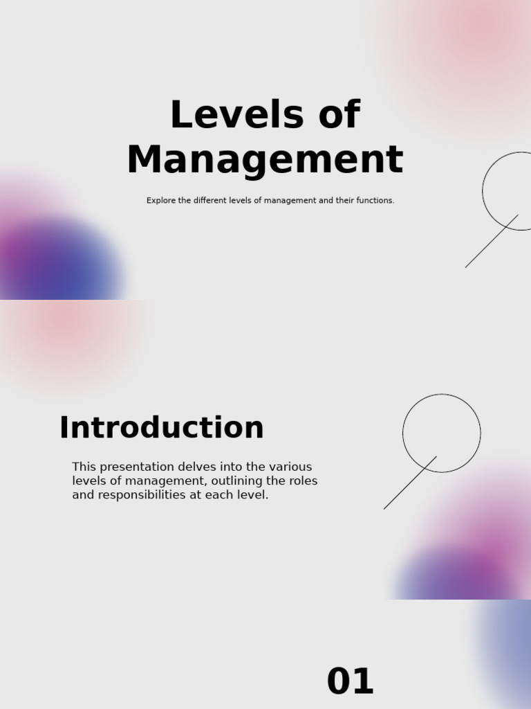 Levels of Management | PDF | Goal | Policy