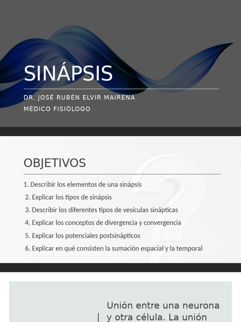 Elementos y Tipos de Sinapsis Neuronal | PDF | Sinapsis | Sinapsis química