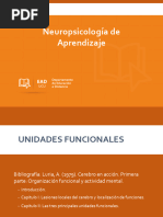 Unidades Funcionales de Luria en Neuropsicología | PDF | Cerebro ...