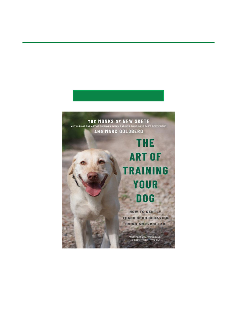 E-Collar Training for Dogs Guide | PDF