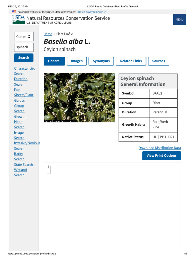 USDA Plants Database Plant Profile-Spinach | PDF | Plants | Botany