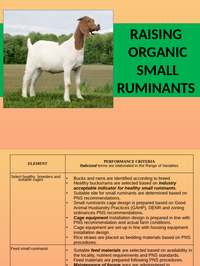 CBLM Raising Organic Goat | PDF | Sheep | Goat