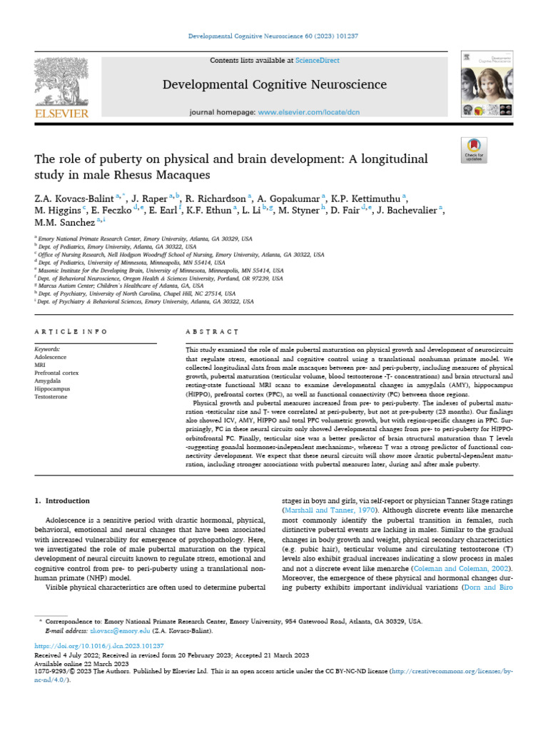 The Role of Puberty On Physical and Brain Developmen - 2023 ...
