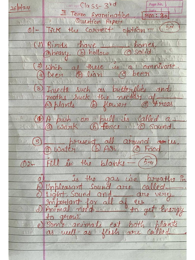 Class 3 Science Paper | PDF
