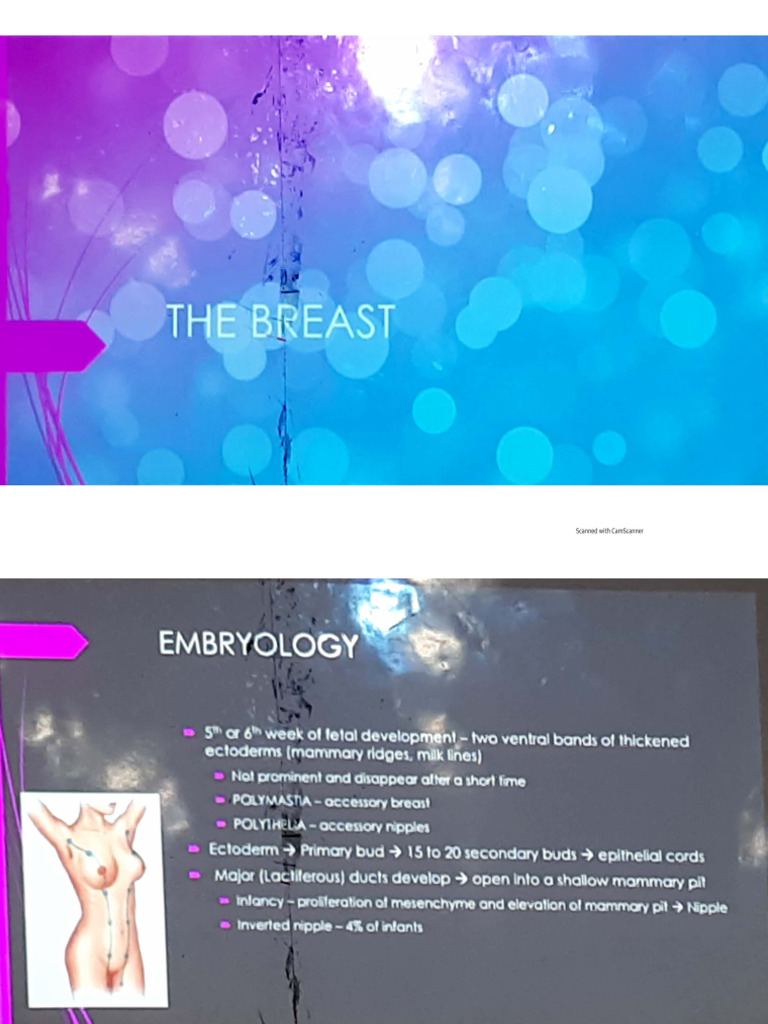 Surgery 1-Intro Breast | PDF