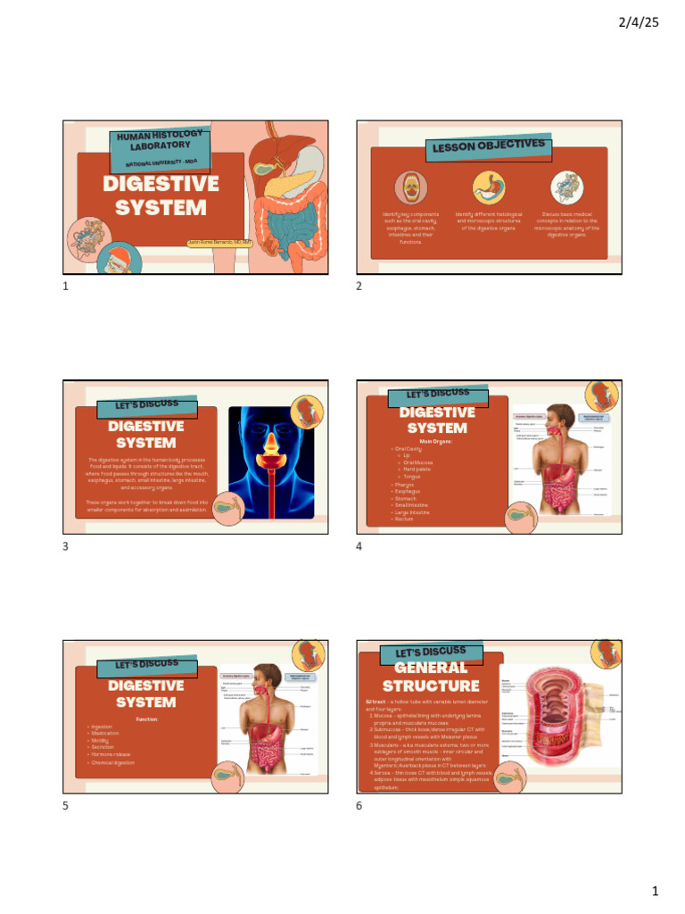 Week 8 - Digestive System | PDF | Gastrointestinal Tract | Stomach