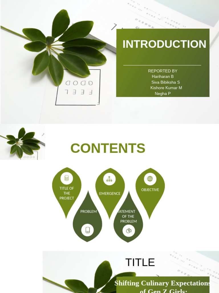 Introduction PPT For Group Project | PDF | Gender | Gender Studies