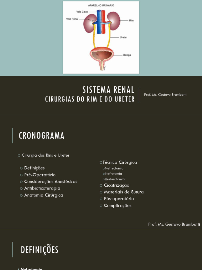 Ana CIRURGIAS DO RIM E DO URETER | PDF | Rim | Creatinina