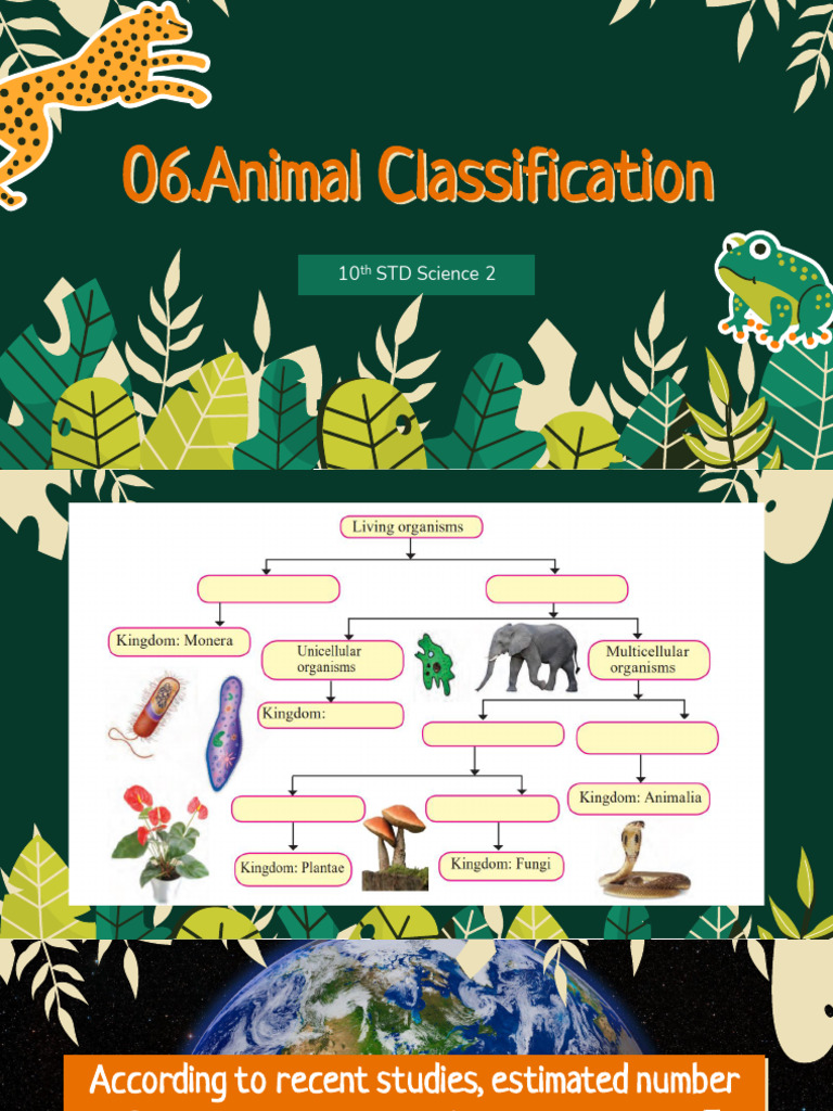 Animal Classification Overview for 10th Grade | PDF | Zoology | Biology