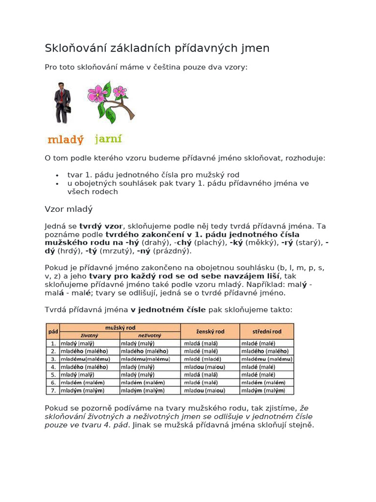 Sklonovani Adjektiv | PDF